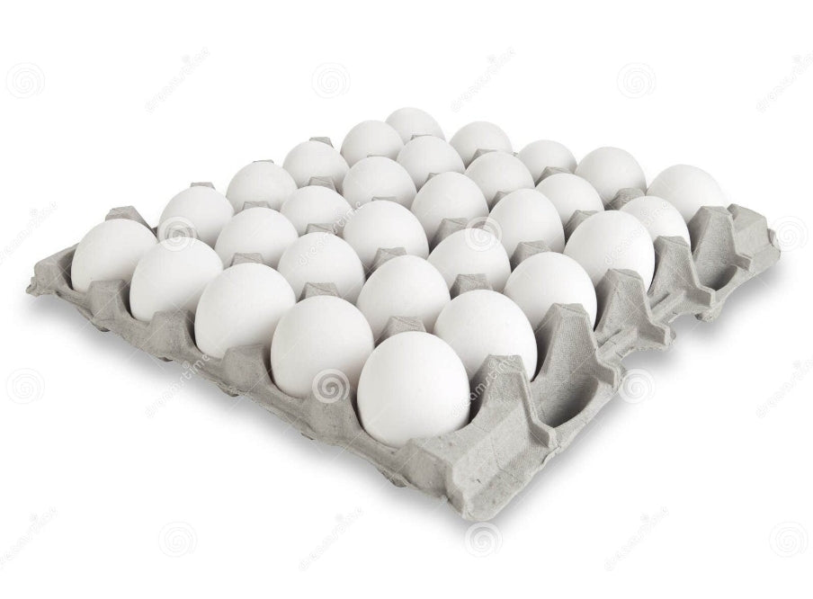 CARTON DE HUEVOS